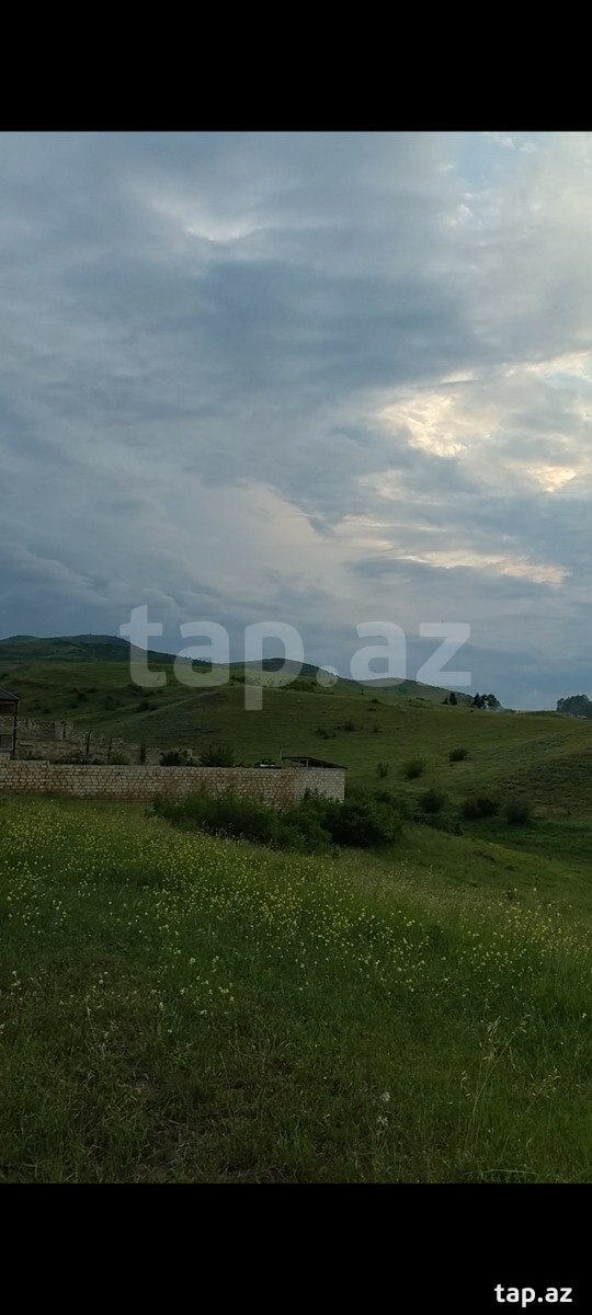 8 sot torpaq sahəsi, Göygöl r. (6)