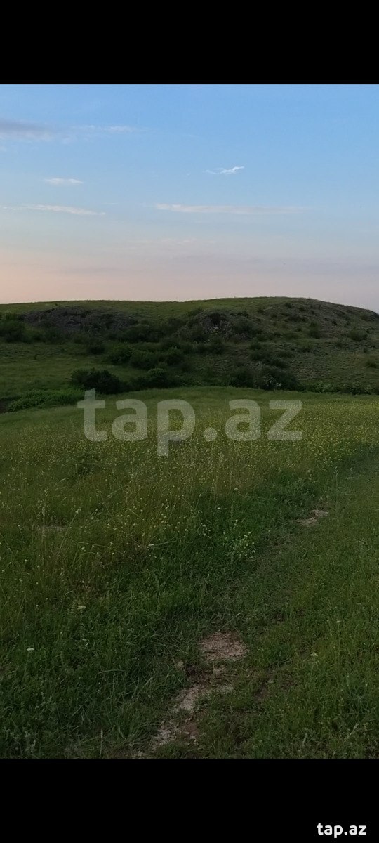 8 sot torpaq sahəsi, Göygöl r. (7)