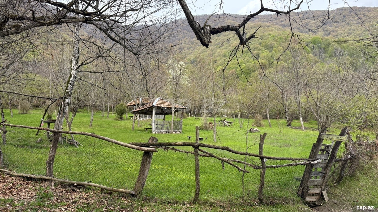 50 sot torpaq sahəsi, Qax r.