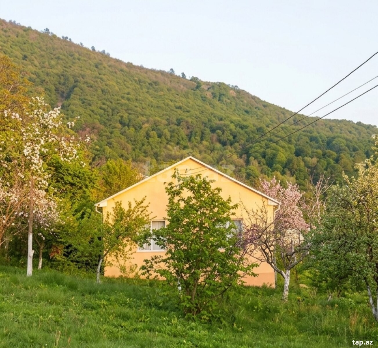 Həyət evi kirayə verilir, İsmayıllı r. (2)