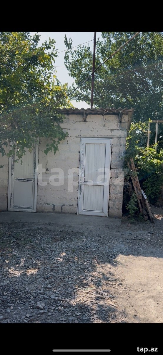 Bağ evi kirayə verilir, Mingəçevir ş.