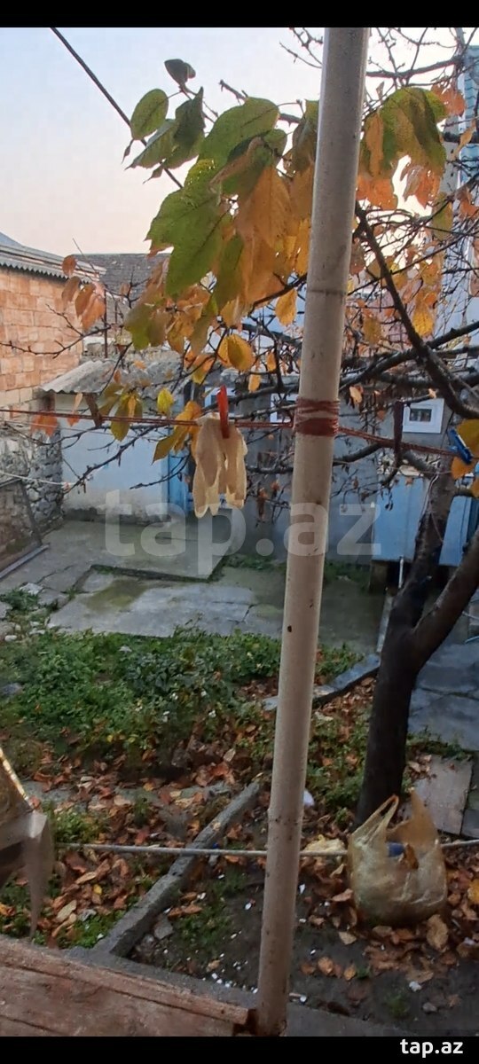 Həyət evi, Şəki ş.