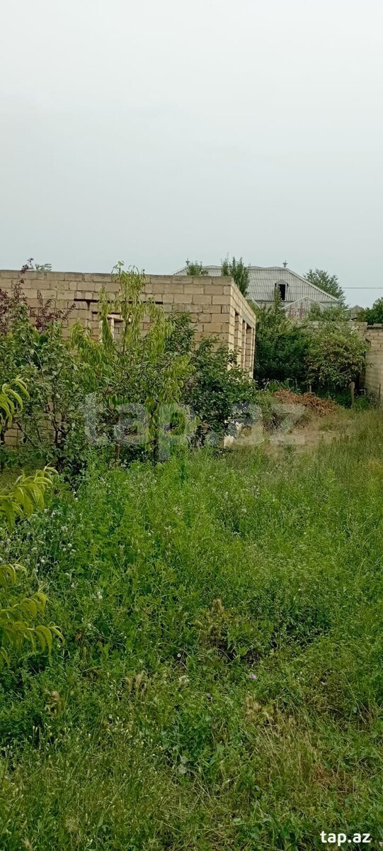 6.5 sot torpaq sahəsi, Gəncə ş.