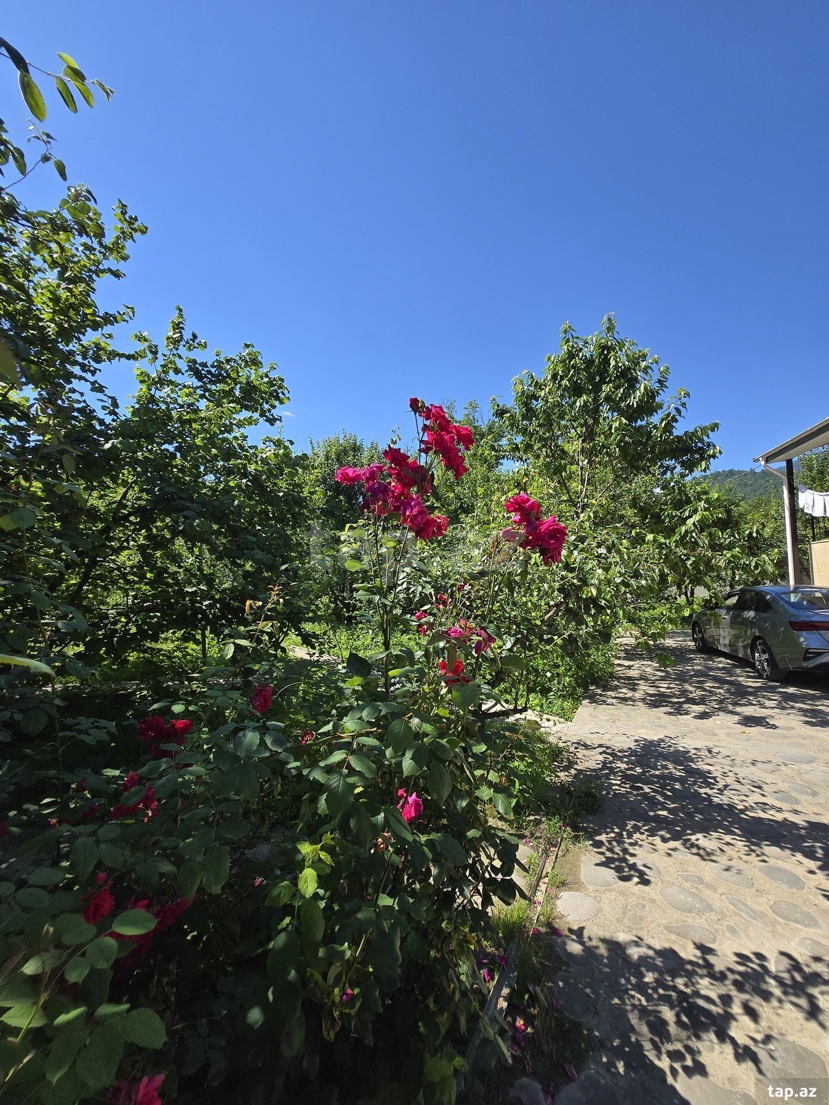 Bağ evi kirayə verilir, Quba r.