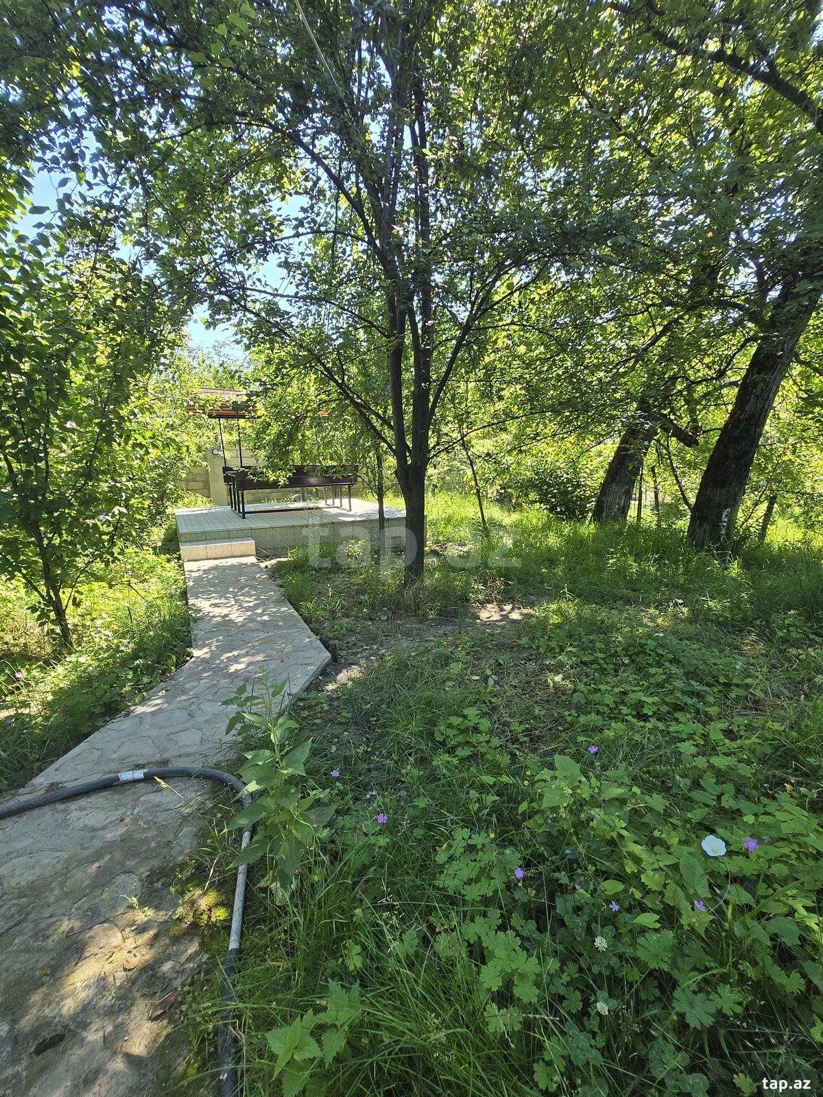Bağ evi kirayə verilir, Quba r.