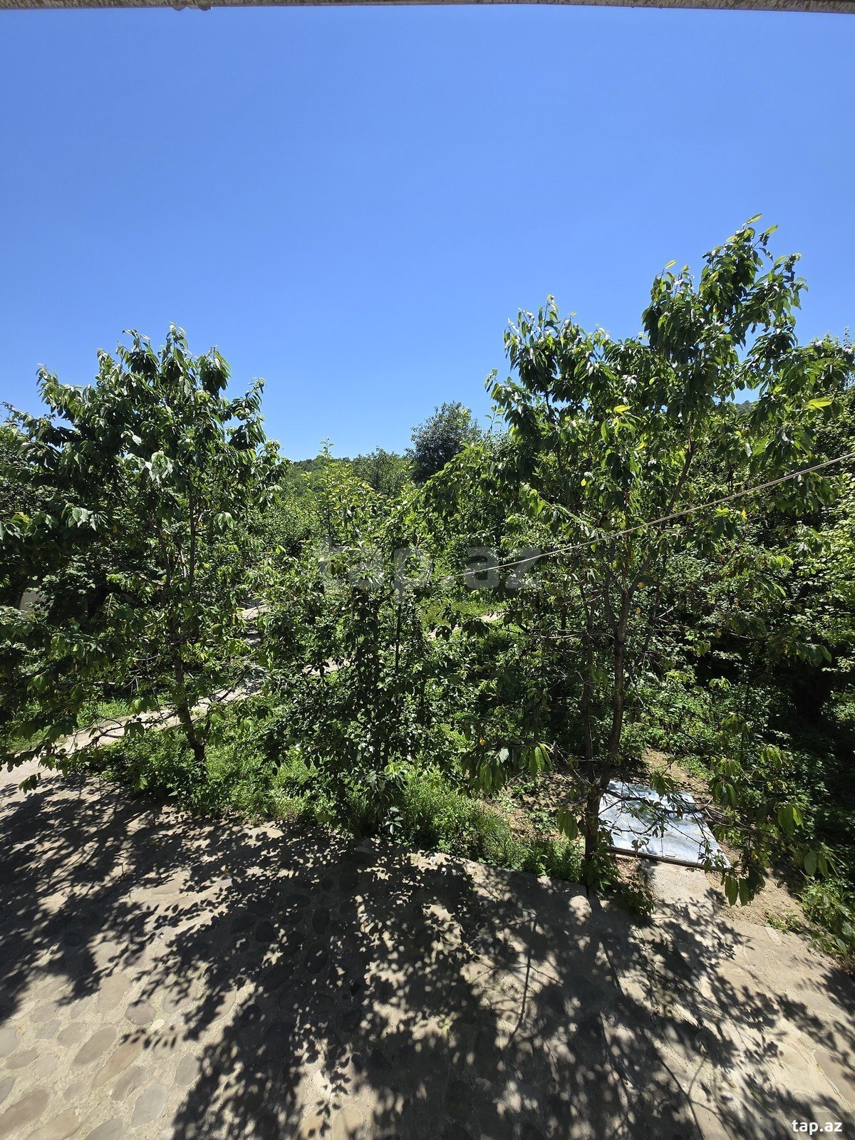 Bağ evi kirayə verilir, Quba r.