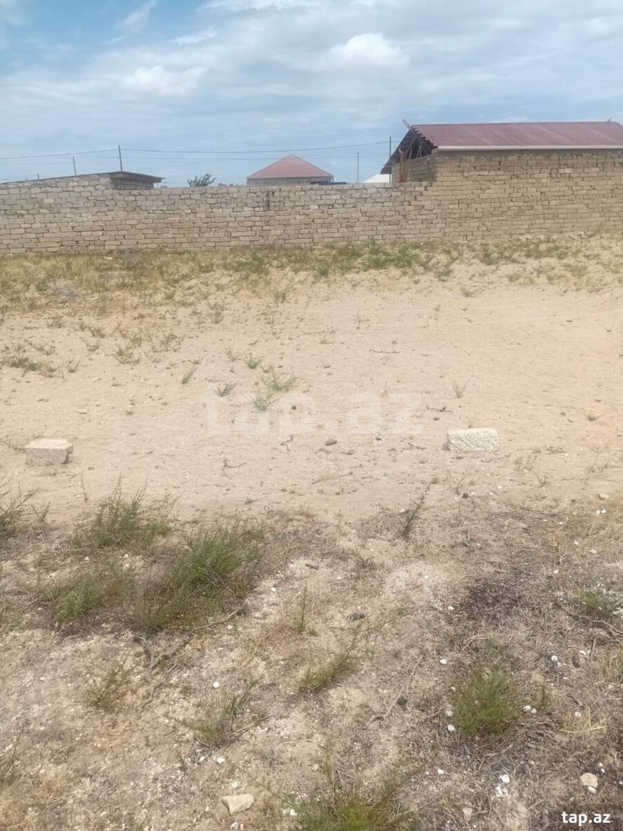 Torpaq satılır, Türkan, Bakı