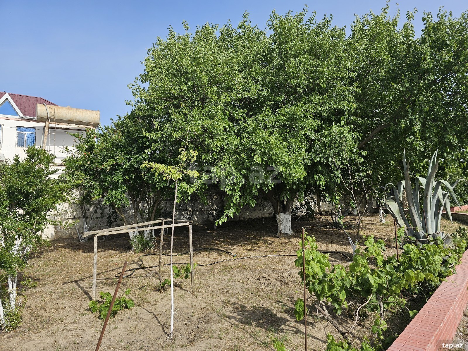 Bağ evi kirayə verilir, Bilgəh qəs.