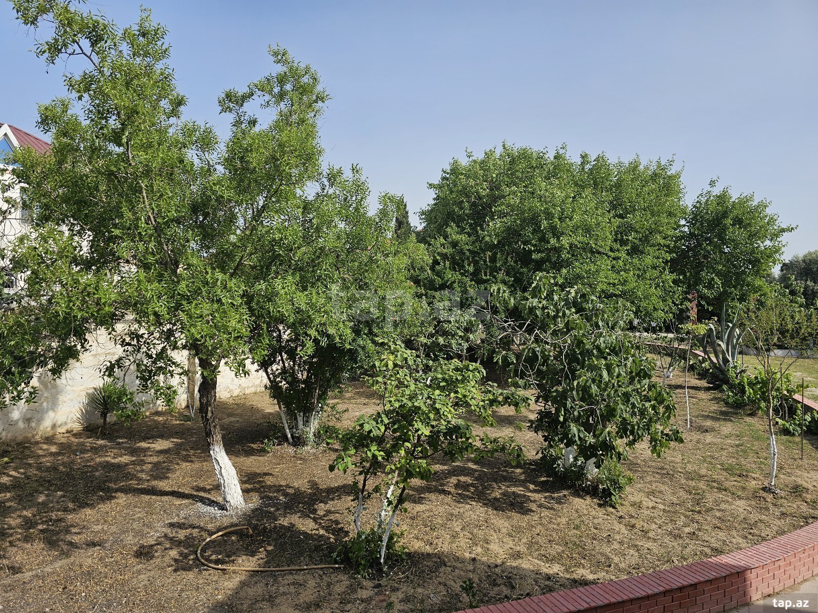 Bağ evi kirayə verilir, Bilgəh qəs.