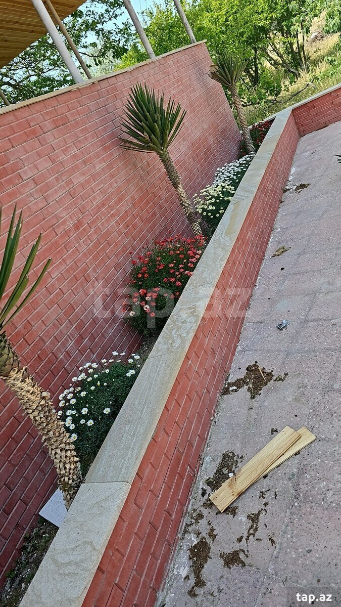 Bağ evi kirayə verilir, Bilgəh qəs.