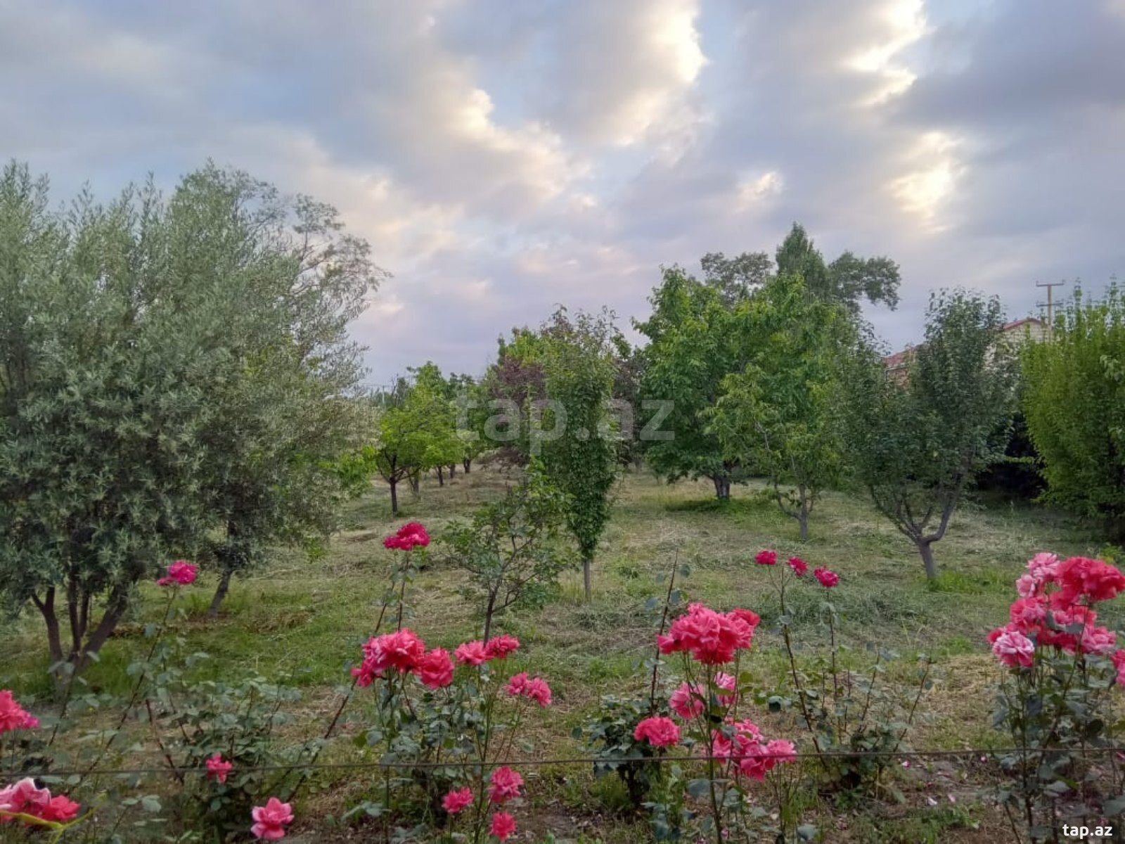 Bağ evi, Quba r.