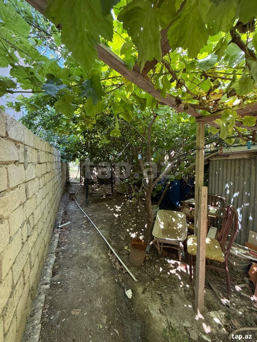 Həyət evi, Aşıq Əli küç.