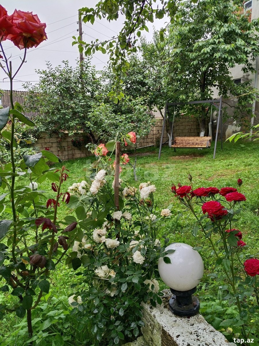 3 otaqlı bağ evi kirayə verilir, Quba