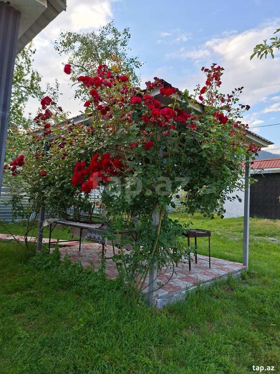 3-room private house for rent, Gabala