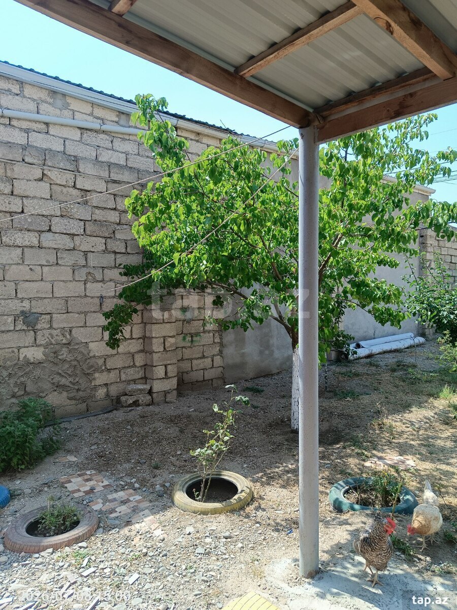 Torpaq satılır, Bakı
