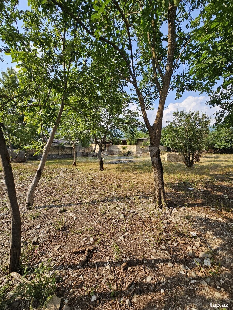10 sot torpaq sahəsi, İsmayıllı r.