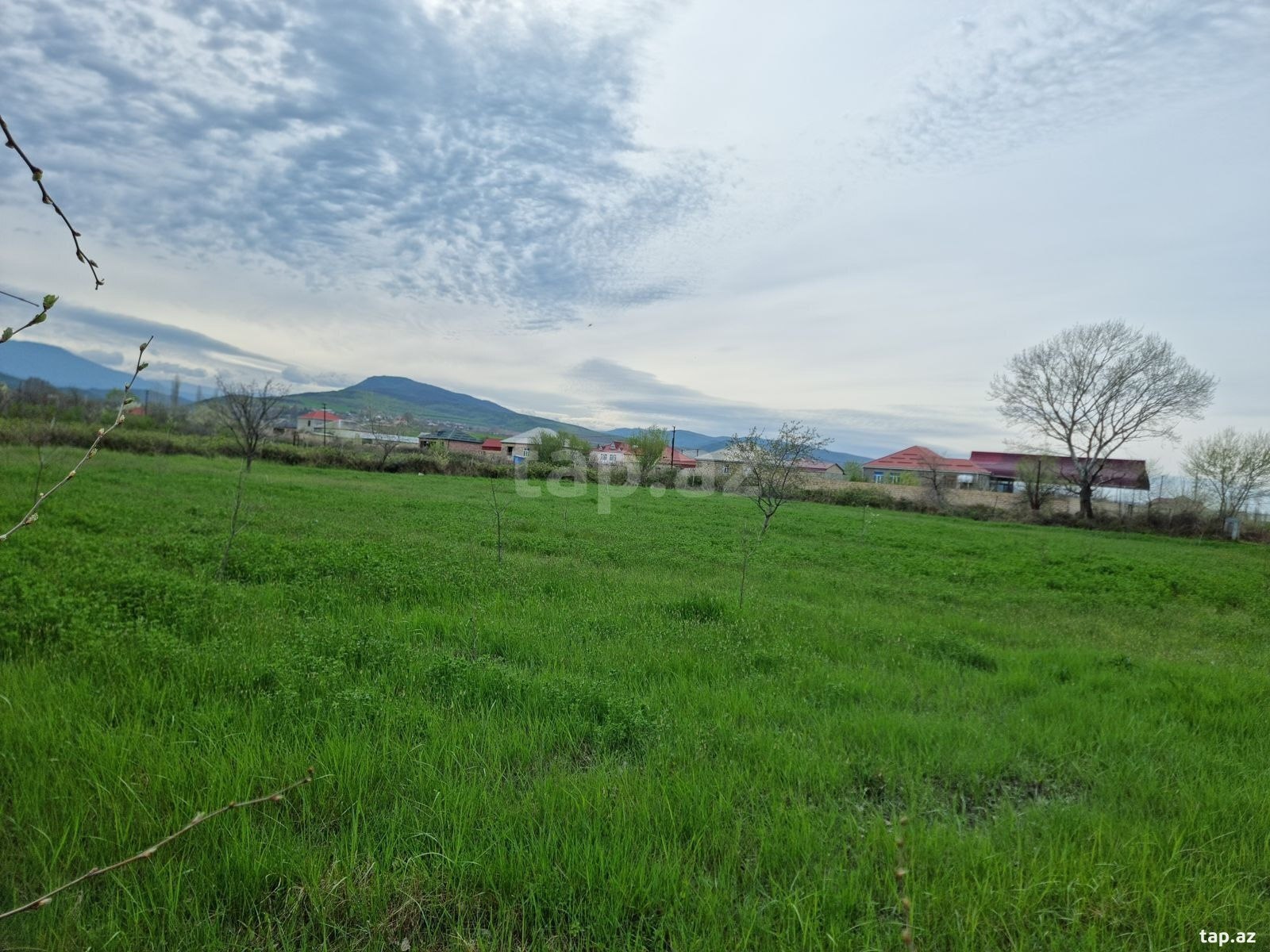 30 sot torpaq sahəsi, Şabran r.