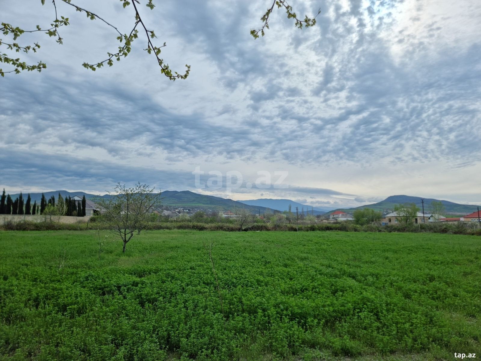 30 sot torpaq sahəsi, Şabran r.