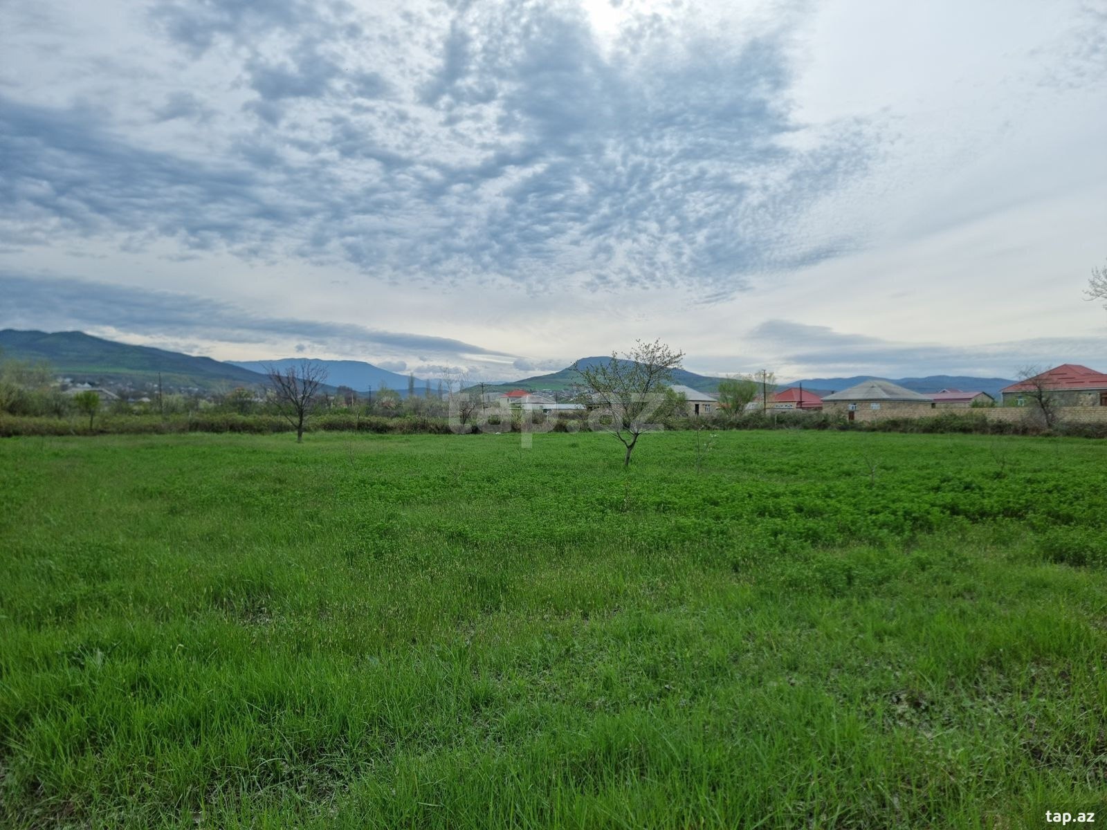 30 sot torpaq sahəsi, Şabran r.