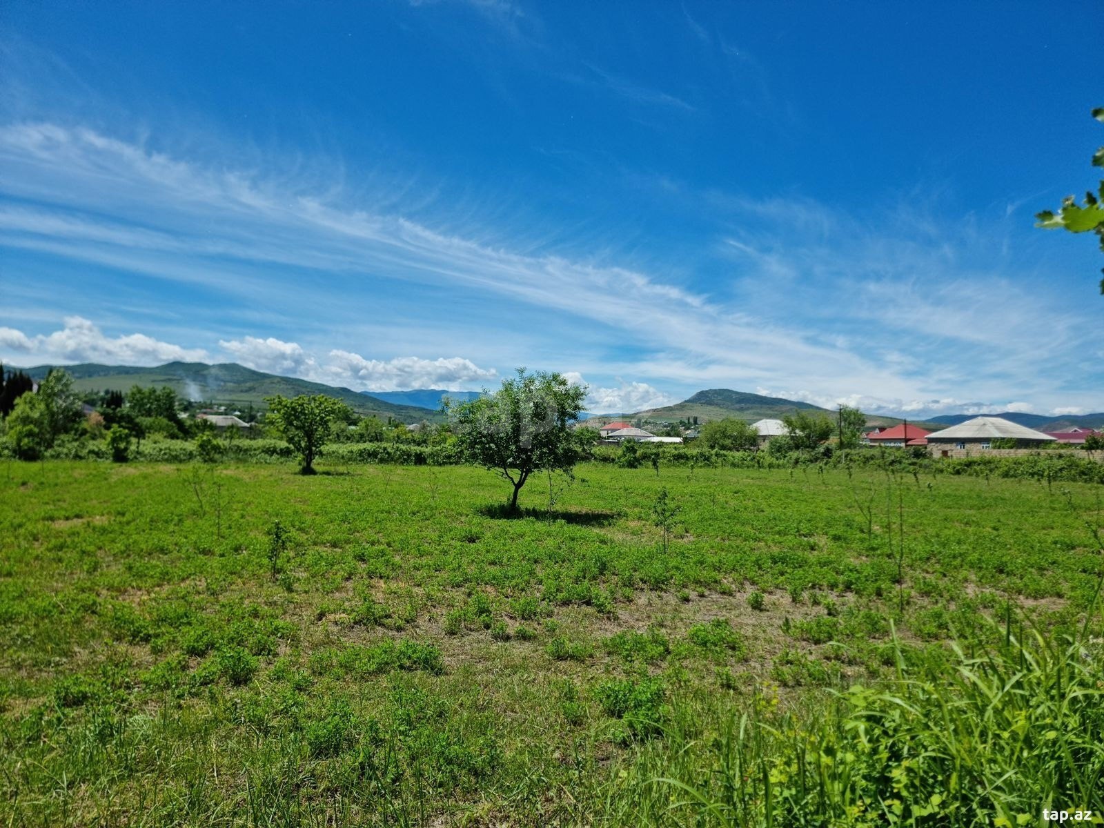 30 sot torpaq sahəsi, Şabran r.