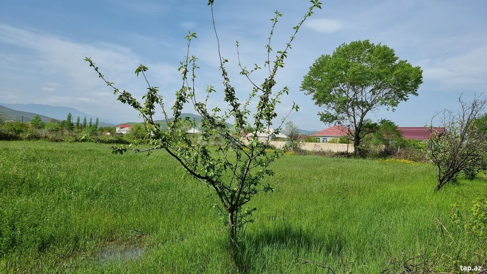 30 sot torpaq sahəsi, Şabran r.