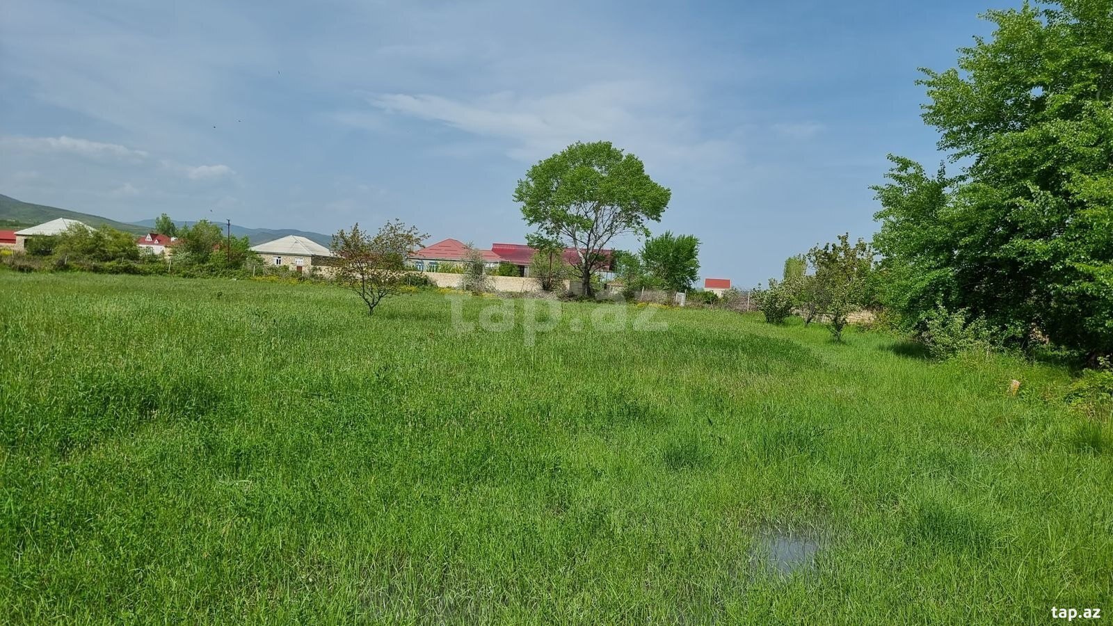 30 sot torpaq sahəsi, Şabran r.
