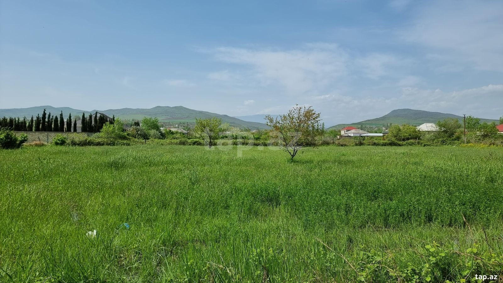 30 sot torpaq sahəsi, Şabran r.