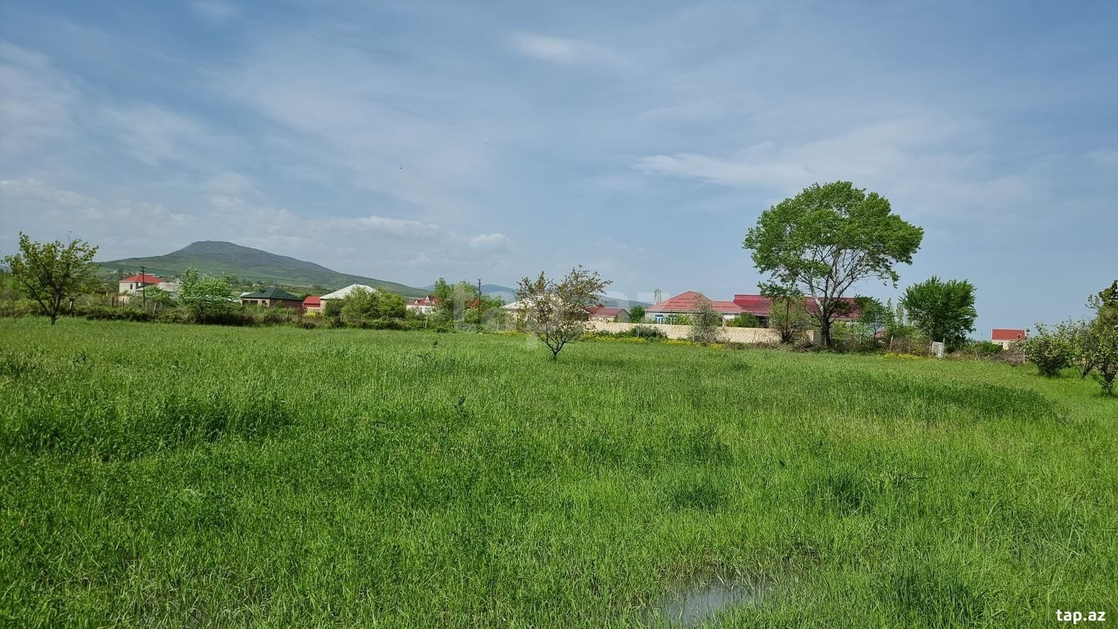 30 sot torpaq sahəsi, Şabran r.