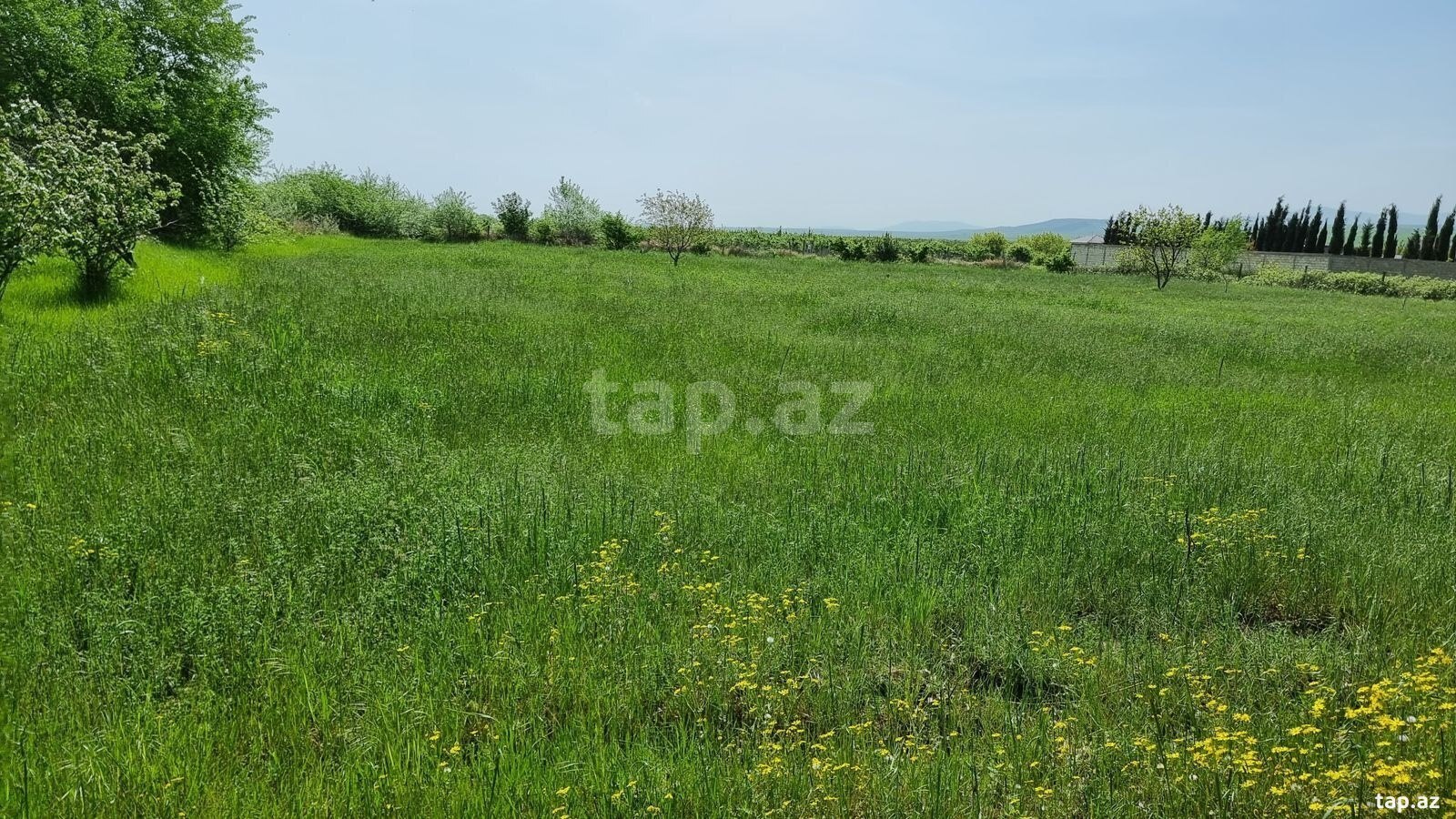 30 sot torpaq sahəsi, Şabran r.