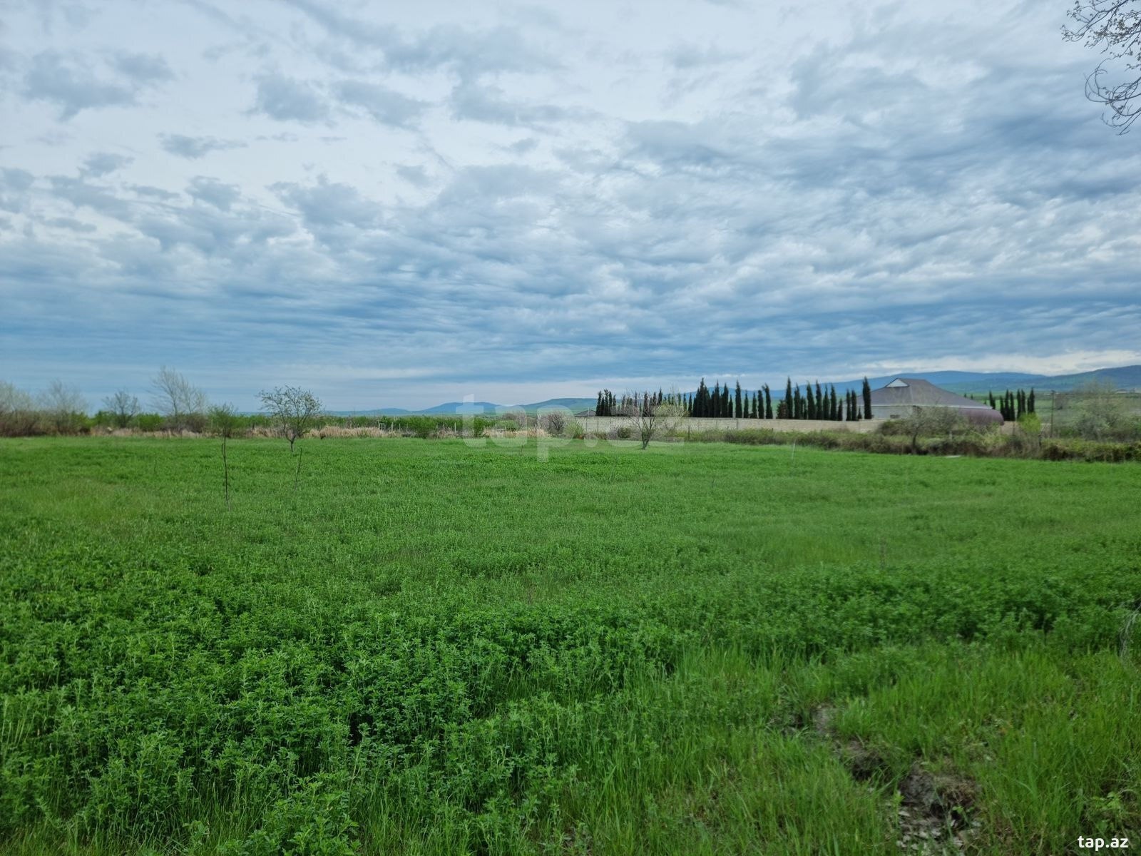 30 sot torpaq sahəsi, Şabran r.