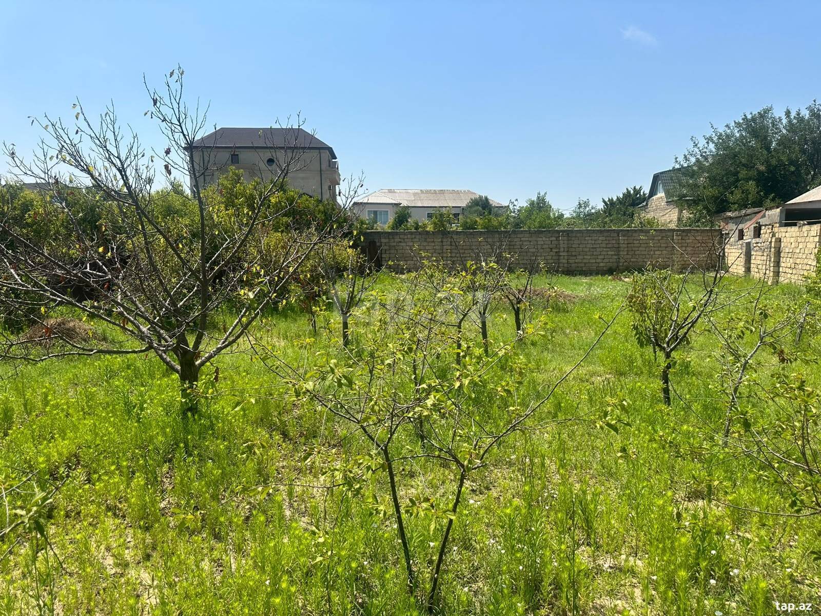 Torpaq satılır, Bakı
