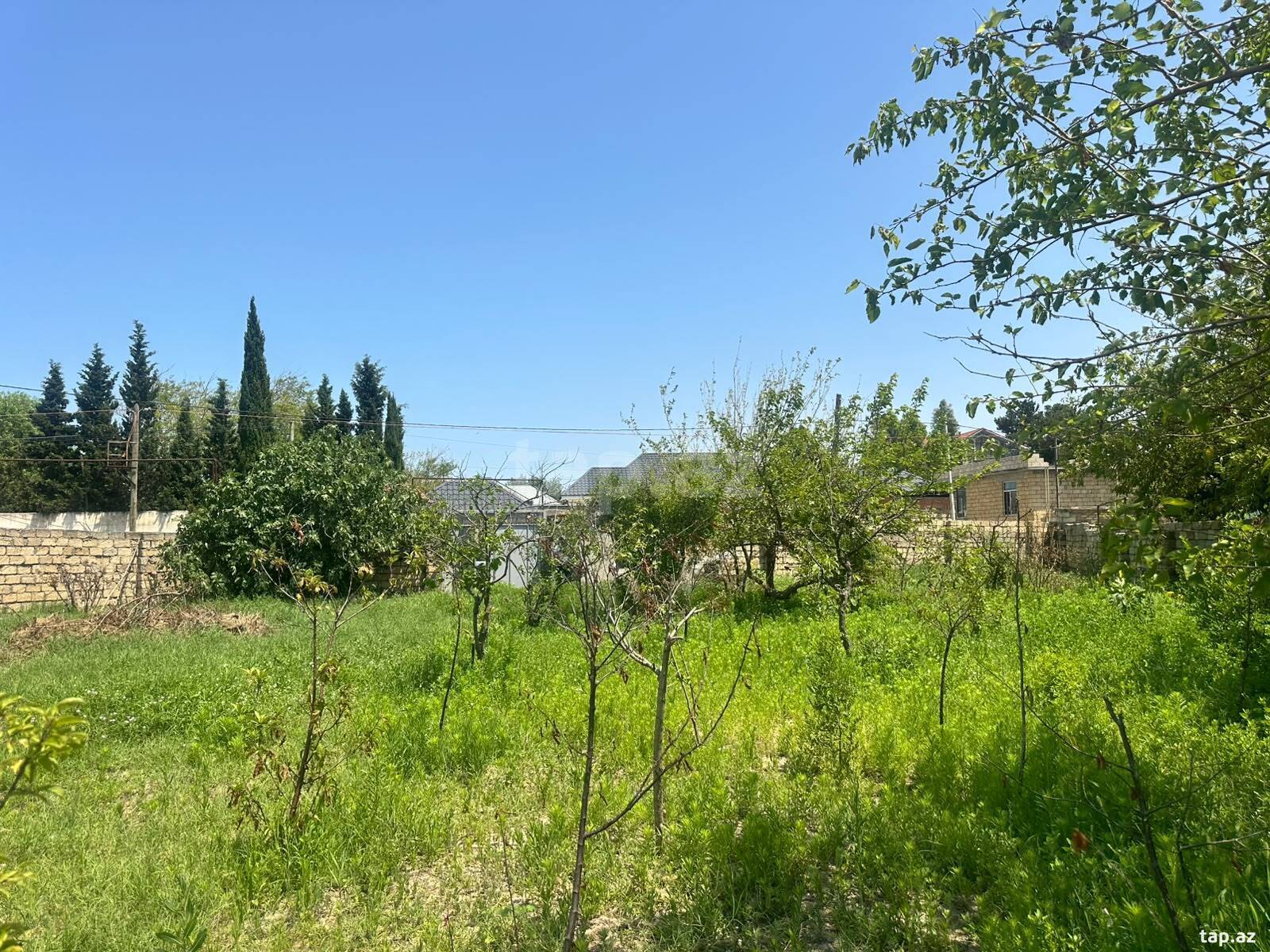 Torpaq satılır, Bakı