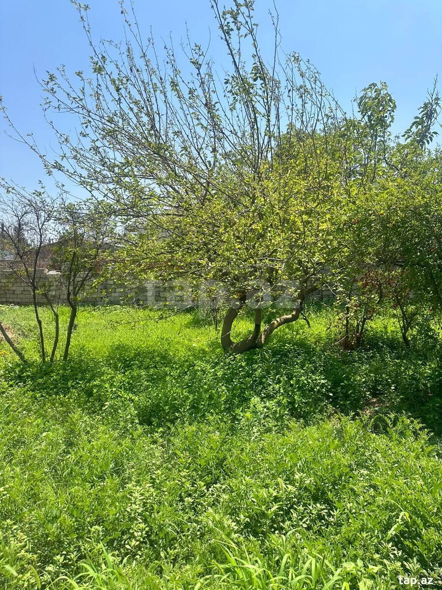 Земельный участок на продажу, Баку