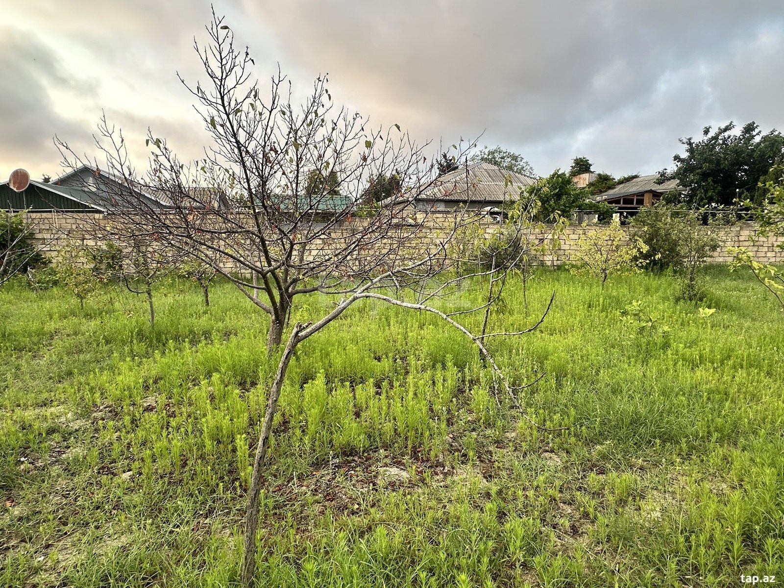 Land for sale, Baku