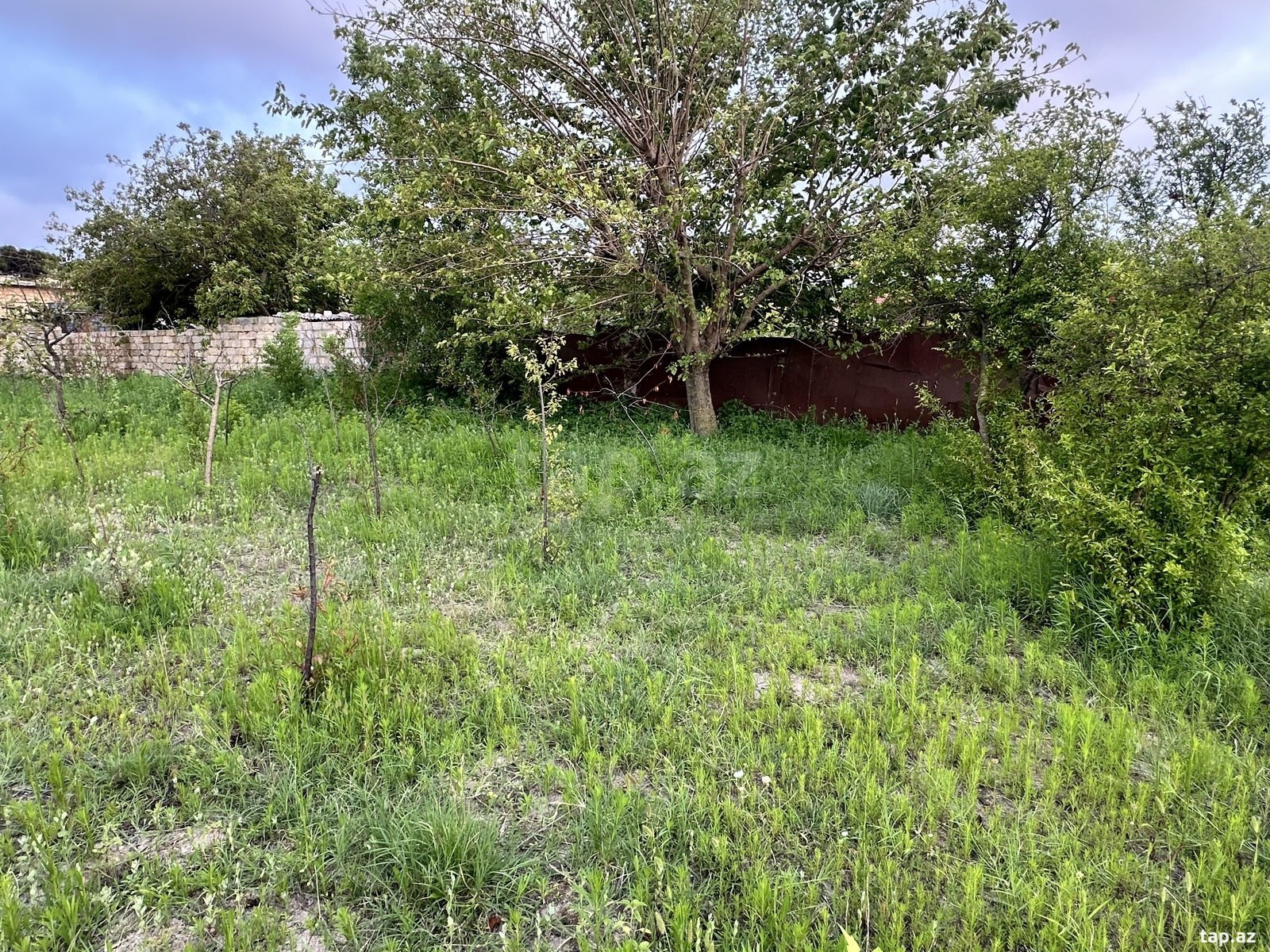 Land for sale, Baku