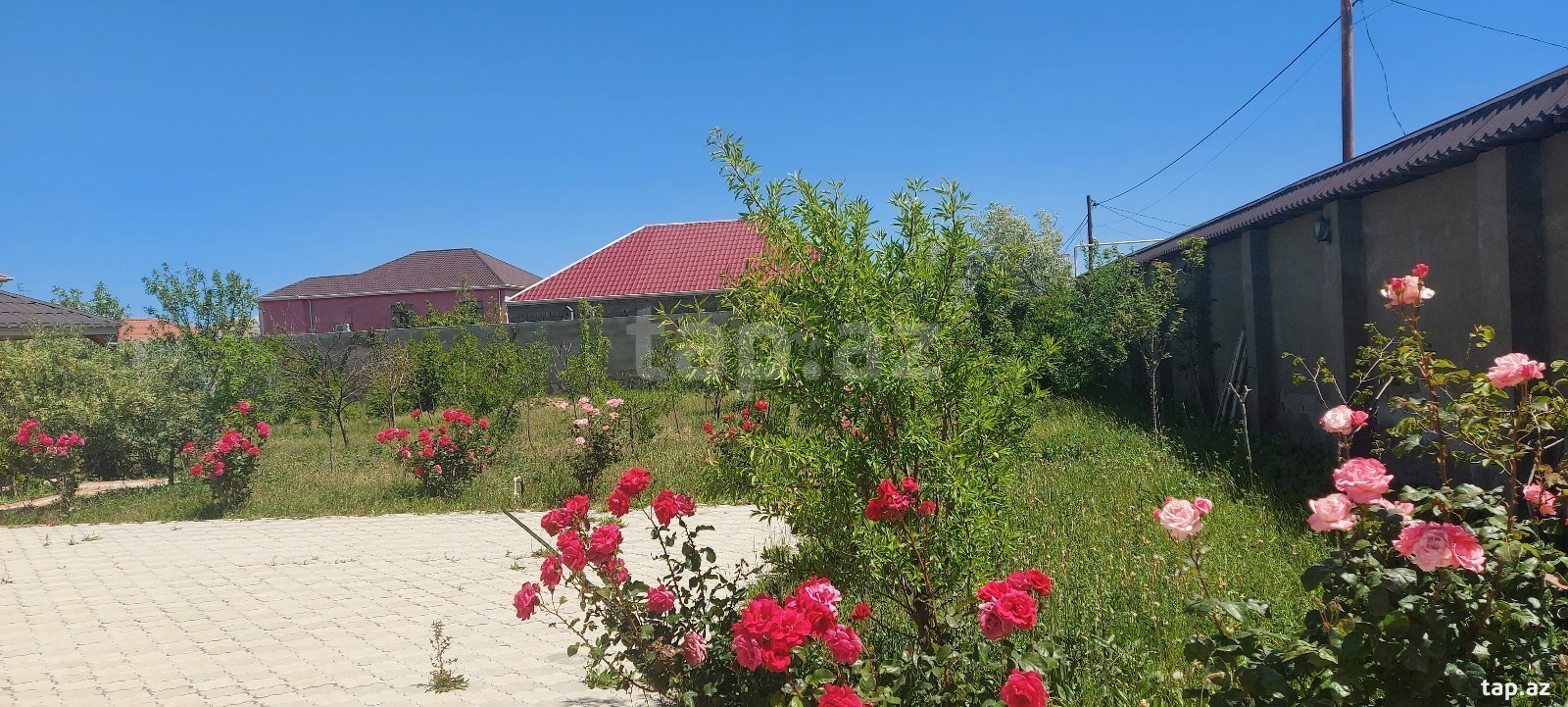 Həyət evi kirayə verilir, Savalan qəs.