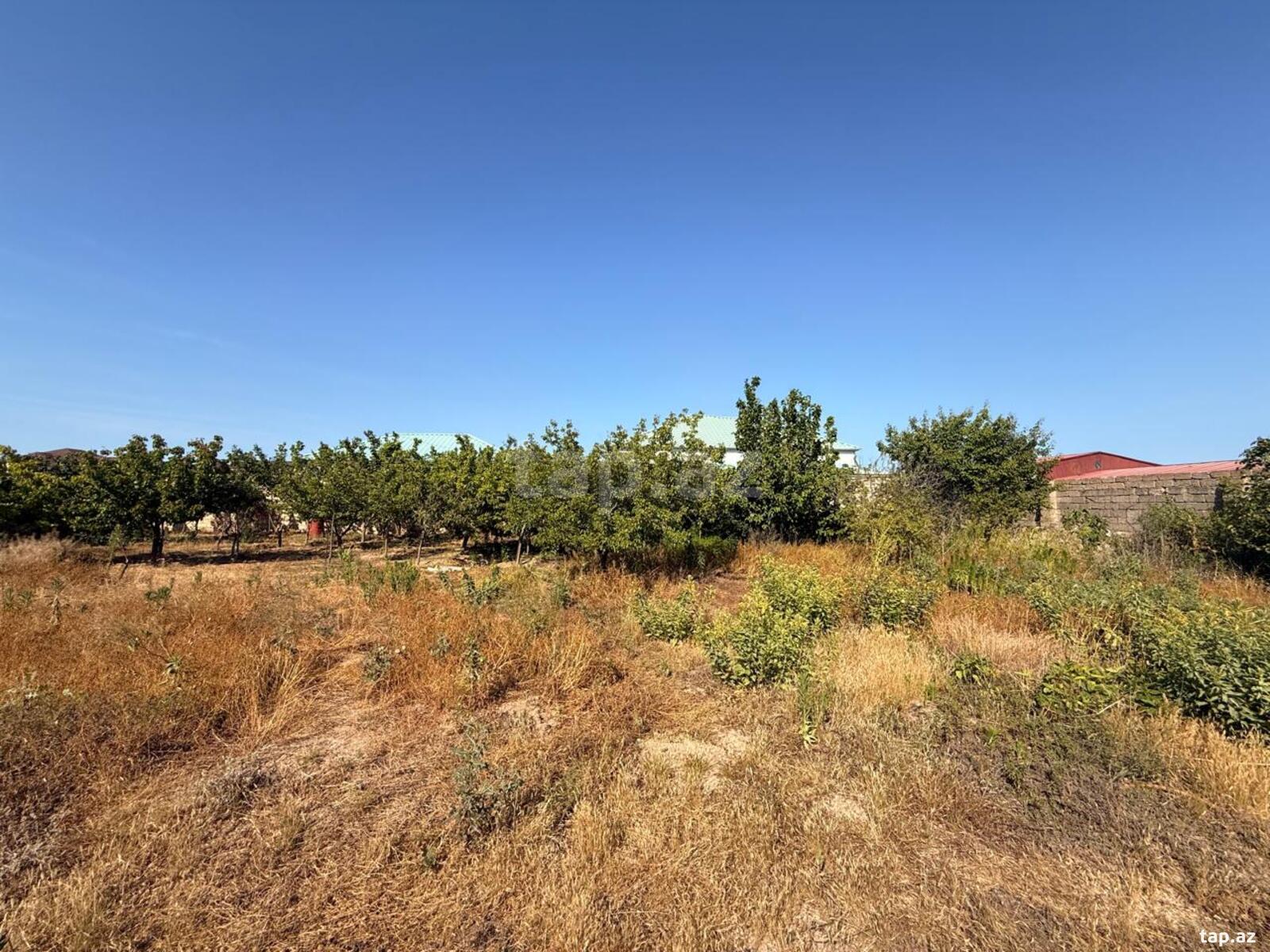 Torpaq satılır, Bakı