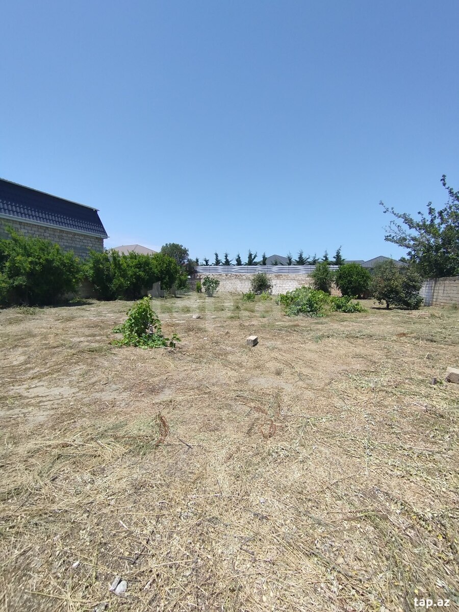 Bağ evi, Novxanı qəs.