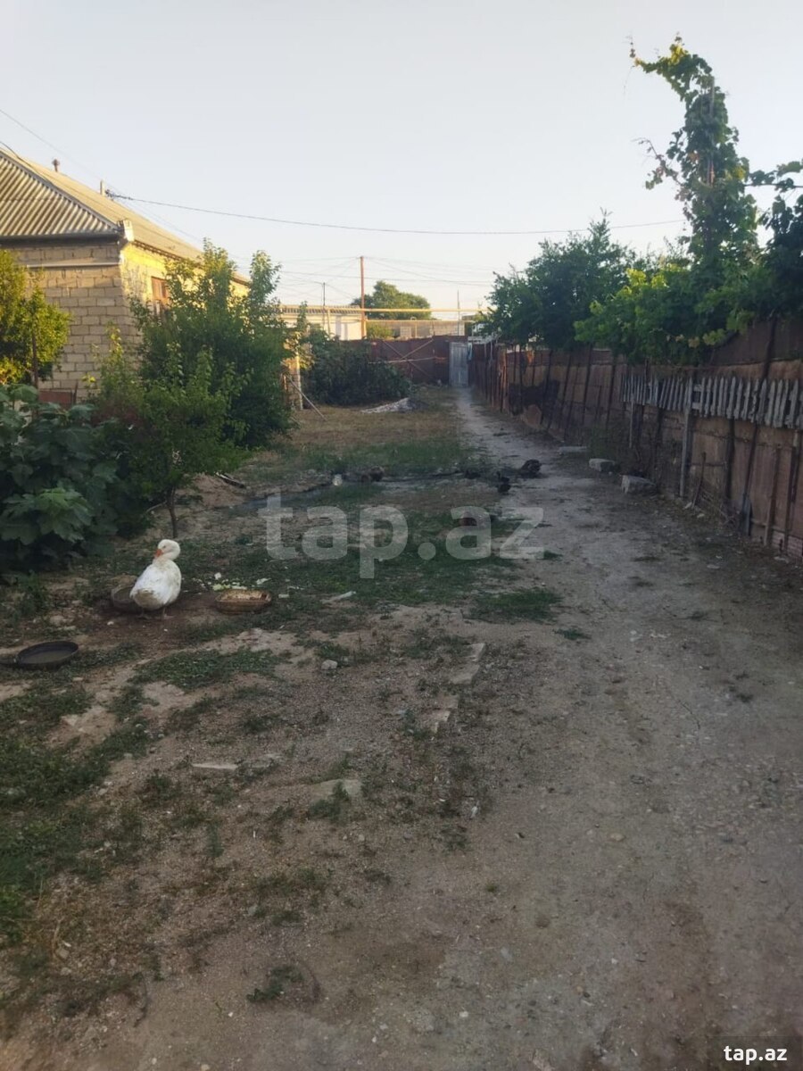 Həyət evi, Sumqayıt ş.