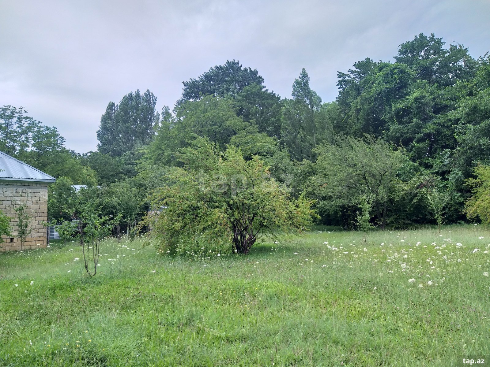 Həyət evi, İsmayıllı r.