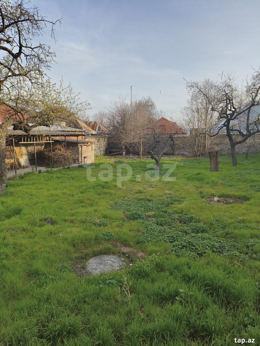 Həyət evi, Şəki r.