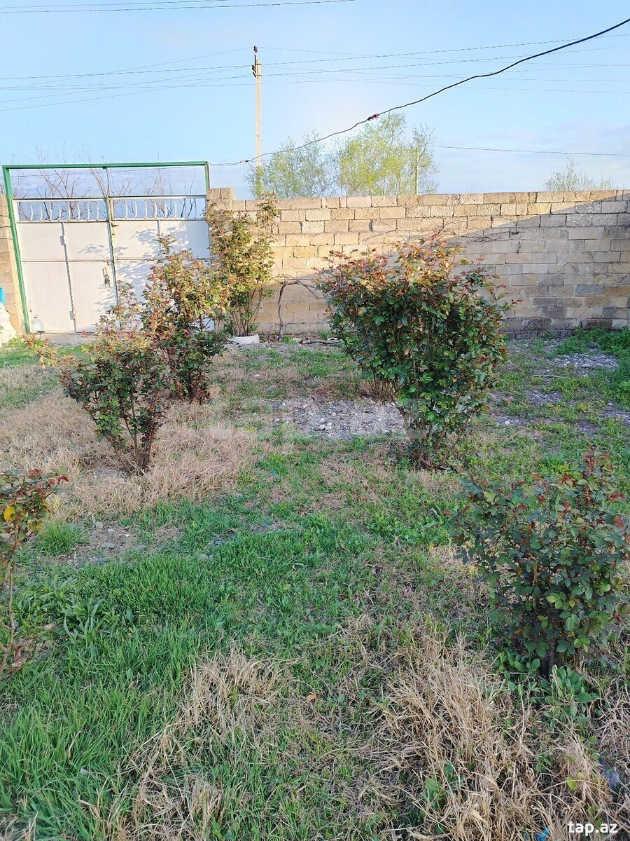Həyət evi, Gülalan k.