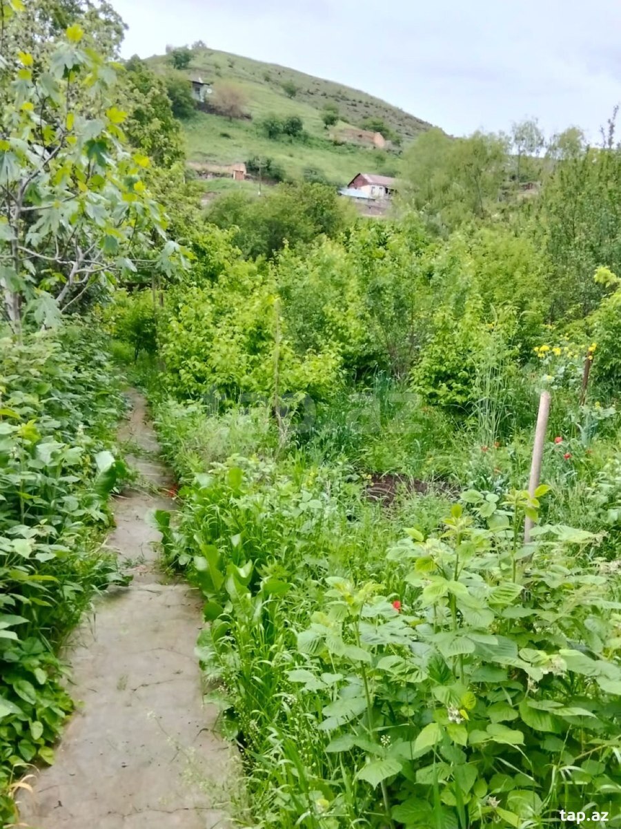 Bağ evi, Göygöl r.