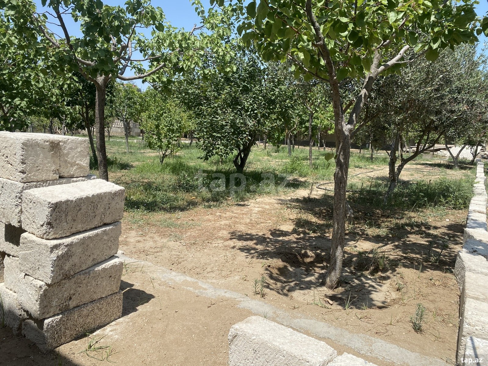 Torpaq satılır, Bakı