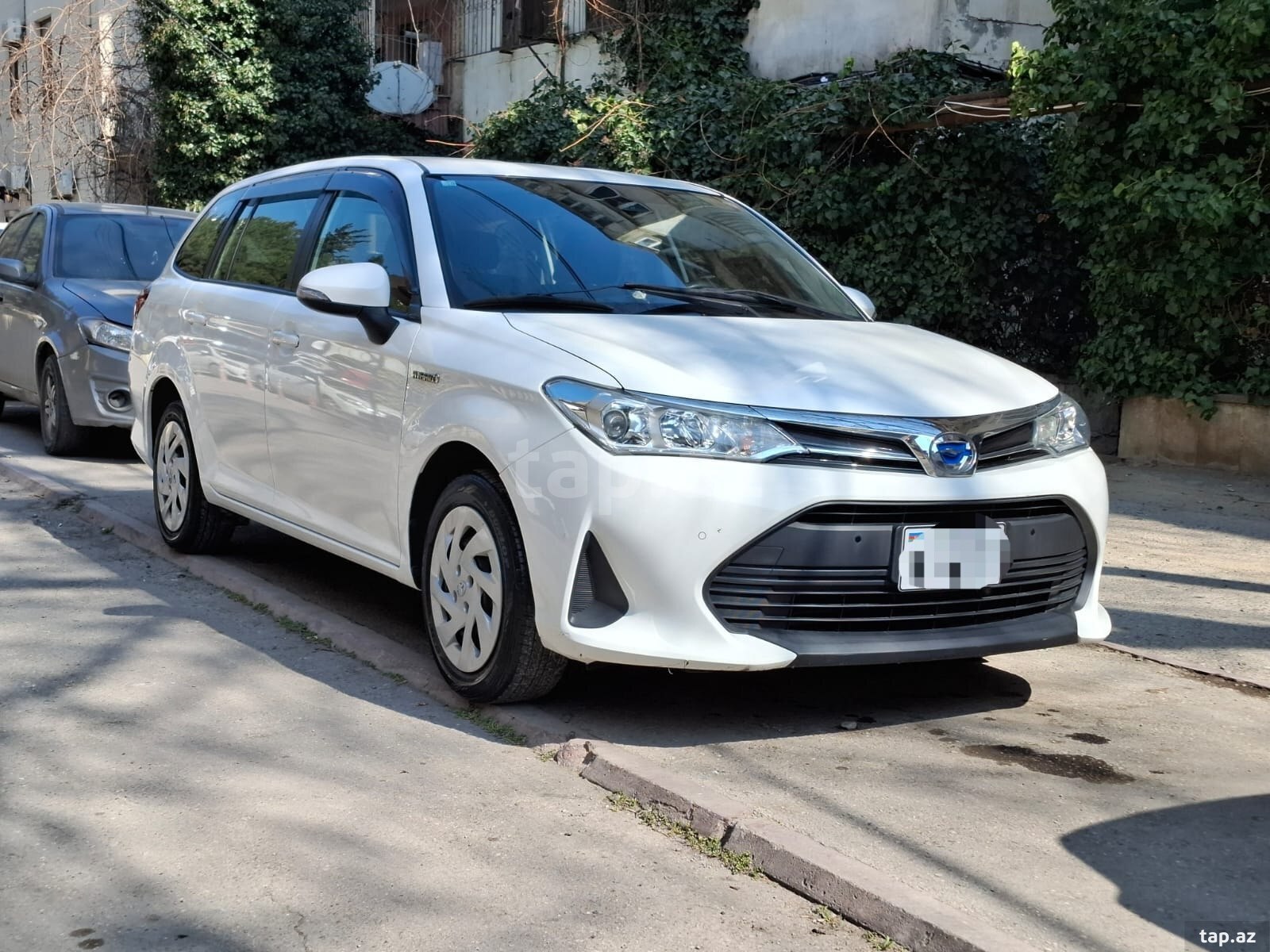 Toyota Corolla Fielder