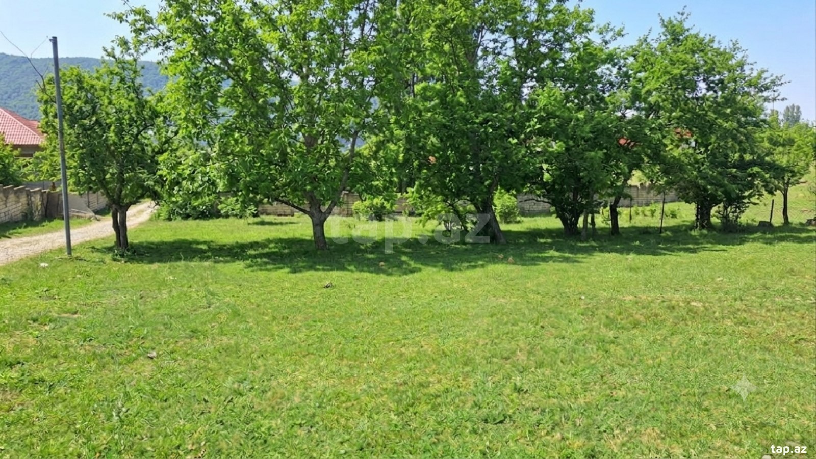 10 sot torpaq sahəsi, Quba ş.