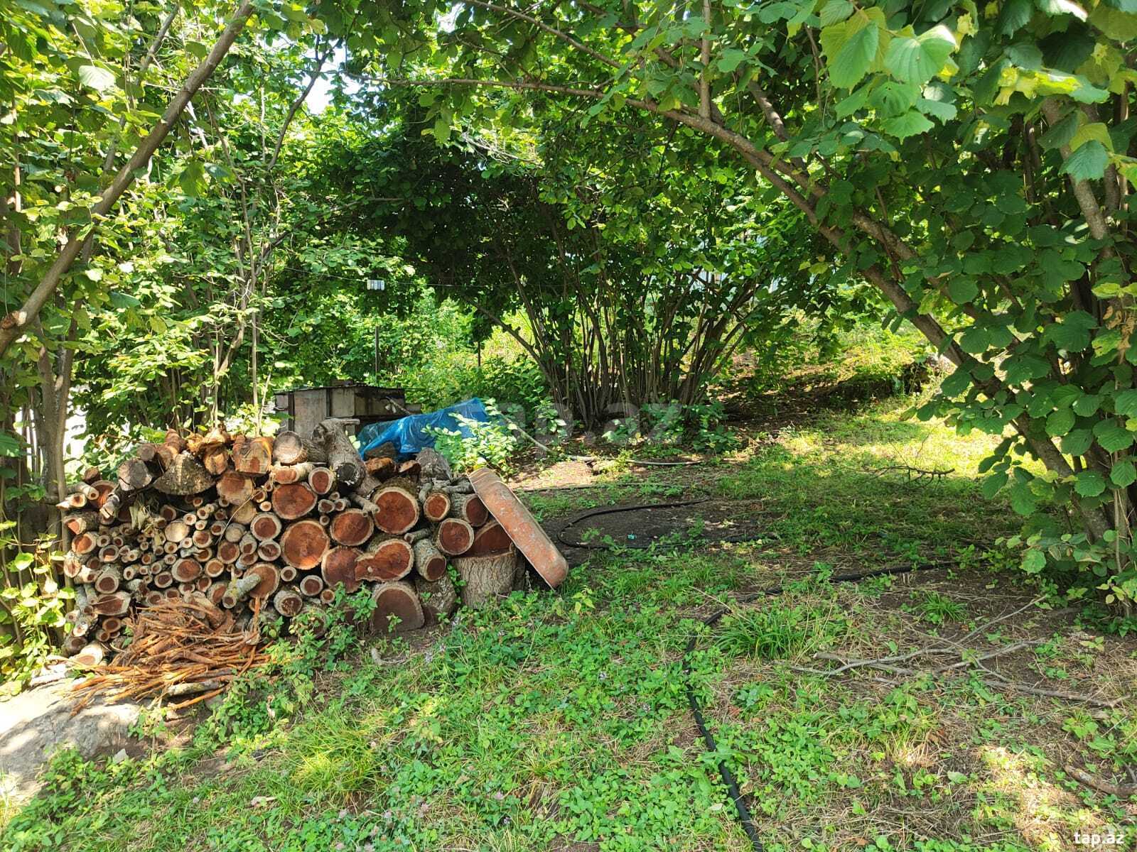 5 sot torpaq sahəsi, İsmayıllı r.