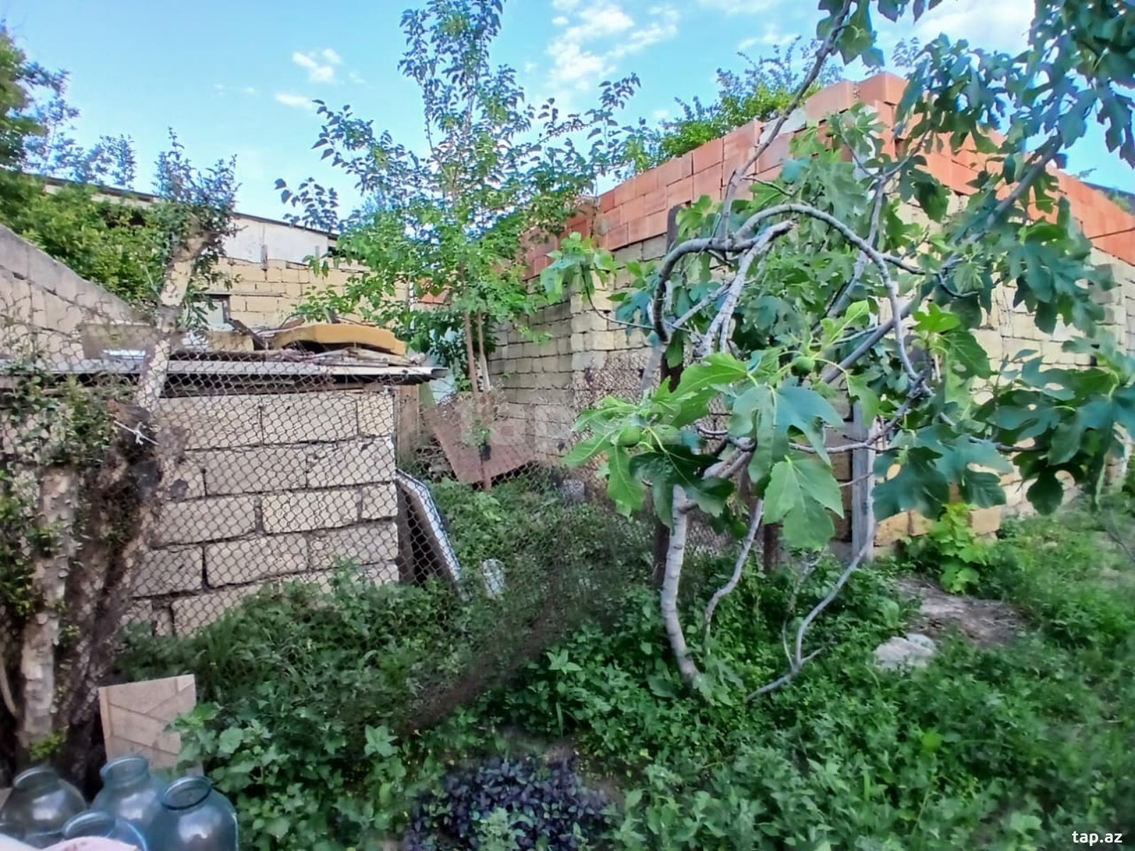 Bağ evi, Köhnə Corat qəs.