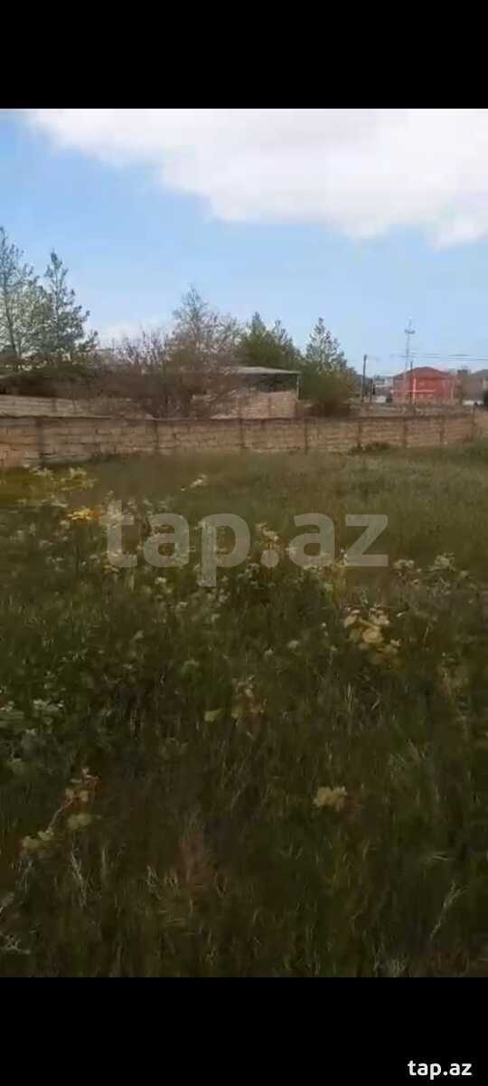 10 sot torpaq sahəsi, İlqar Abdullayev küç.