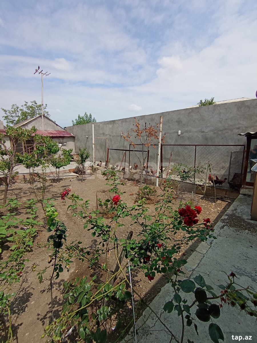 Həyət evi, Gəncə ş.